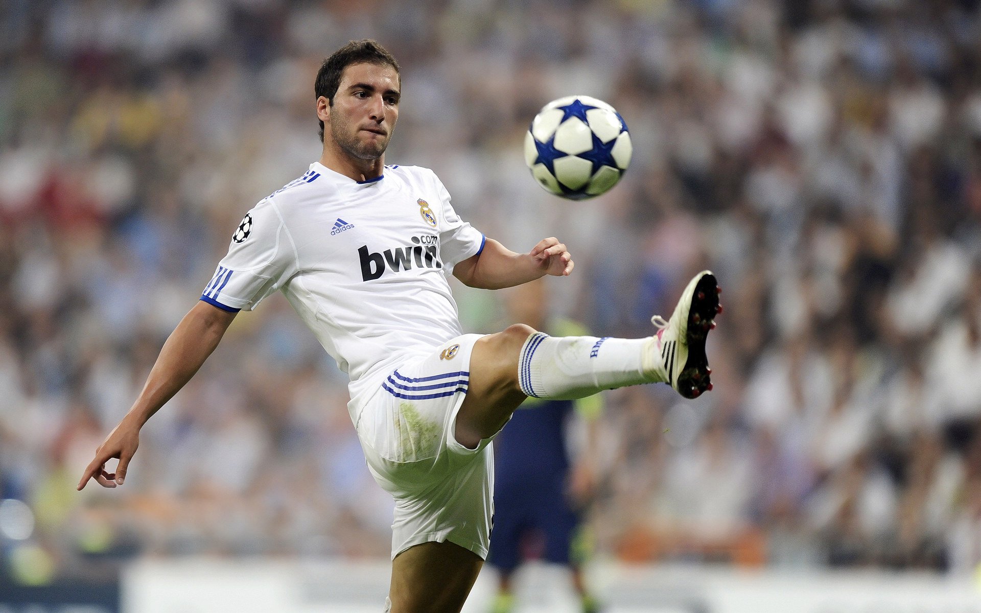 夺冠大趋势:各队秘籍大解密!,夺冠选手